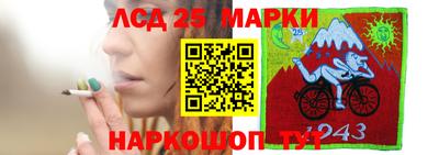 бошки Кингисепп