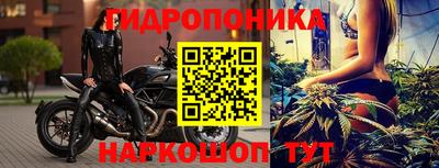 шишки Кимры