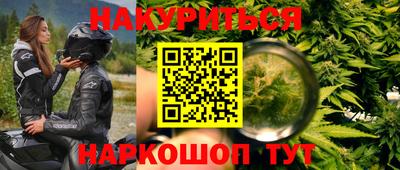 шишки Кимры