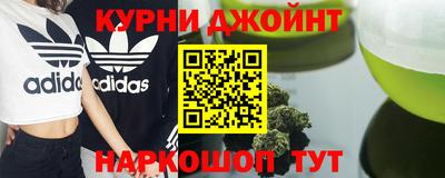бошки Кингисепп