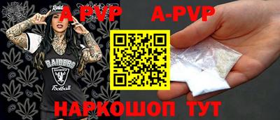 бошки Кингисепп