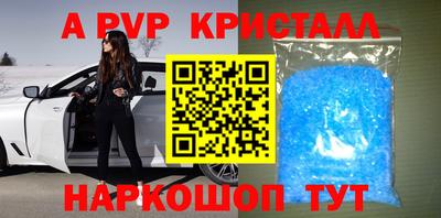 бошки Кингисепп