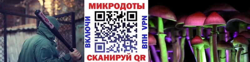 блэк спрут ССЫЛКА  Ипатово  Галлюциногенные грибы Cubensis 