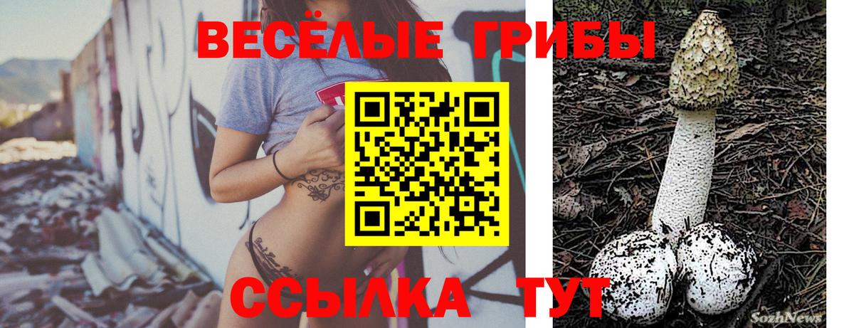 Псилоцибиновые грибы ЛСД Ипатово