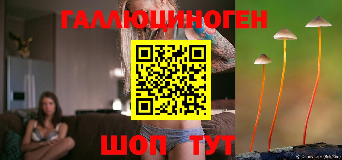 Галлюциногенные грибы мицелий  Вход с VPN  Ипатово 